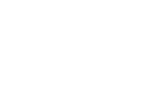 EMC protection icon